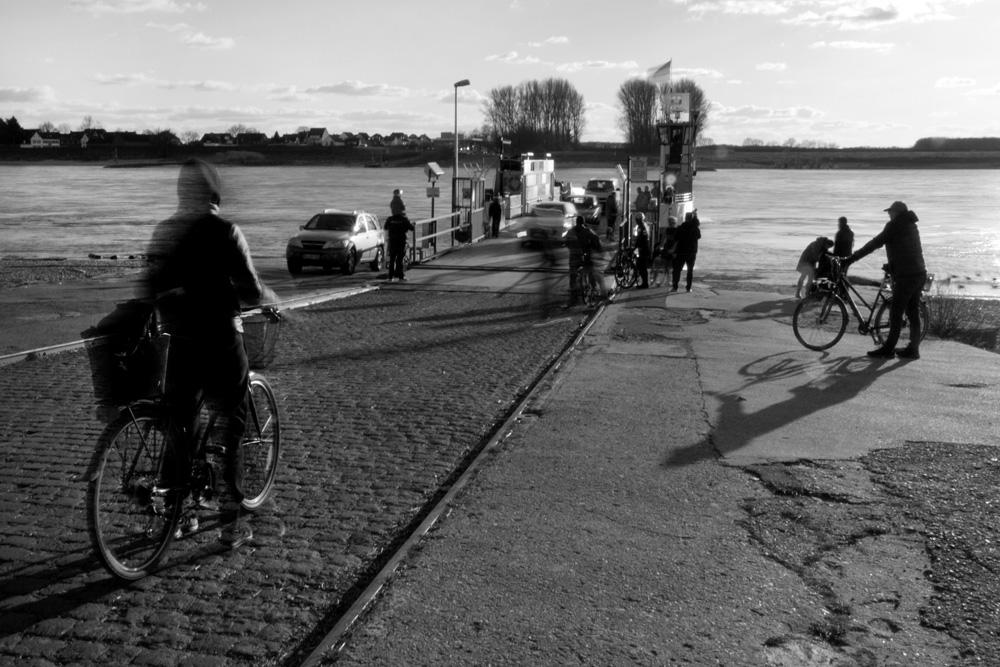Chris - mit Fahrrädern über den Rhein