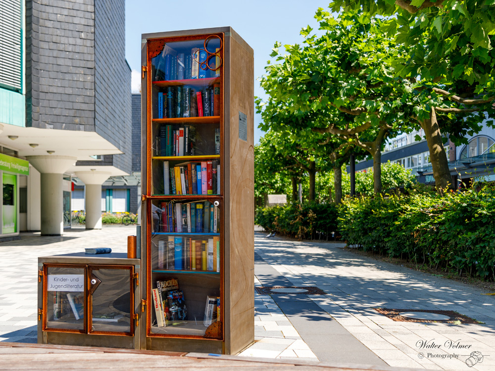 Bücherschrank - Walter