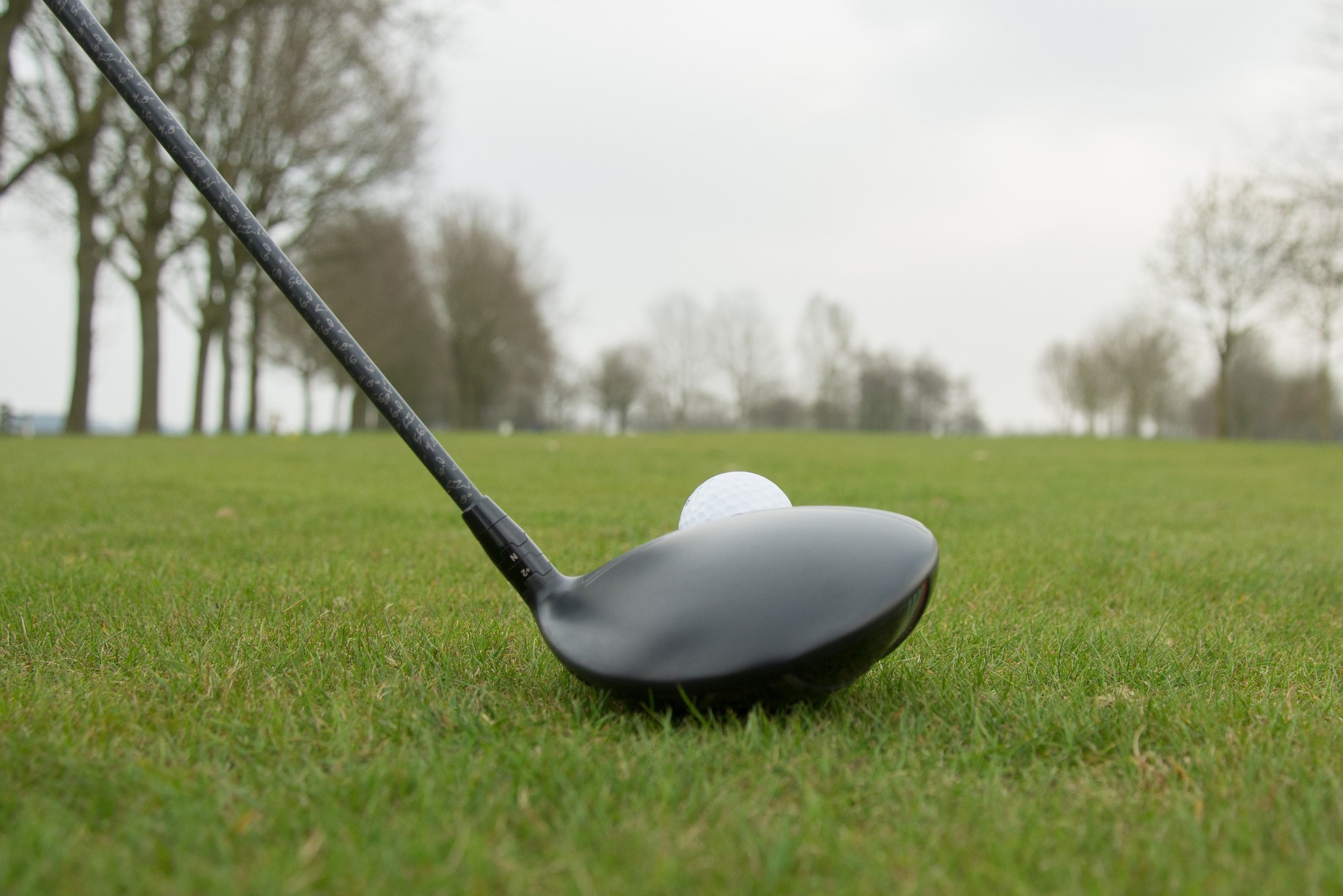 Fernmitgliedschaft 2025 nur 119 € Immer günstig golfen