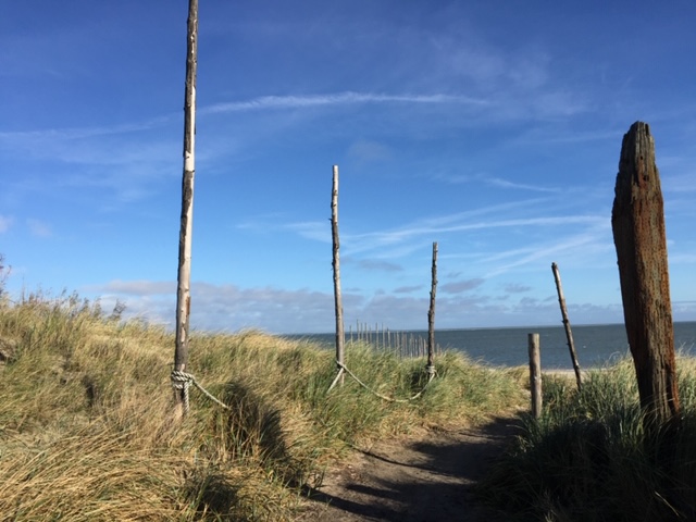 Ein Weg durch die Dünen am Rand verschiedene Stämme Symbole für Zusammenhalt, aber auch für Individualität und für das Arbeiten in Gladbeck am psychotherapeutischen Themen