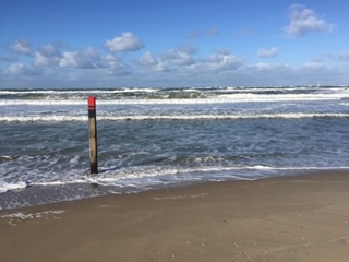 Die Nordsee mit Wellen und einem einsamen Stamm, der aus dem Boden ragt. Symbol für eine psychotherapeutische Einzelbehandlung wie ein Fels in der Brandung in Gladbeck, Bottrop, Buer