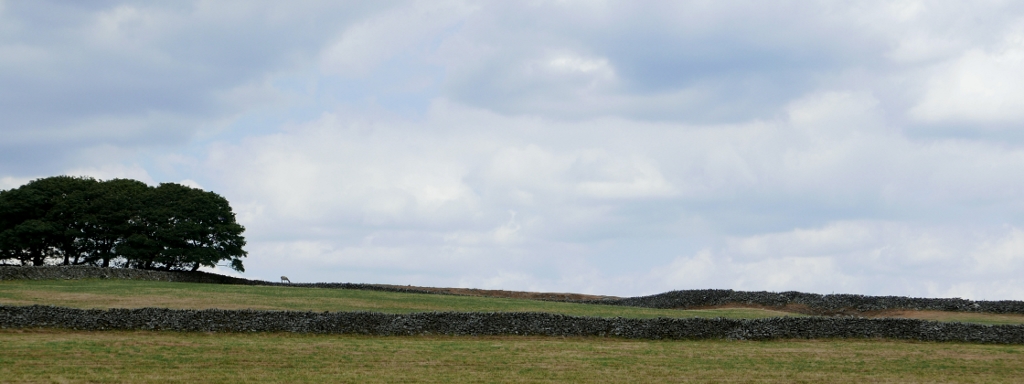 Rowter Poultry Farm, Peak District (Au Bout des pieds)