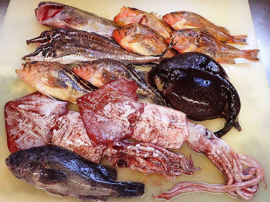 北海道羅臼町からの天然地魚到着！