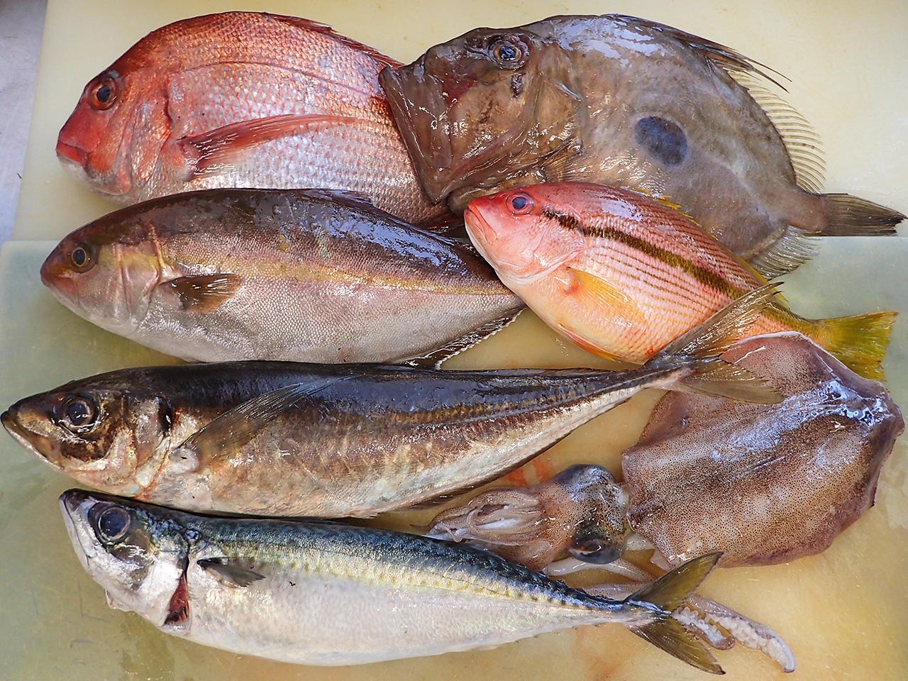 長崎県上五島の天然地魚到着！
