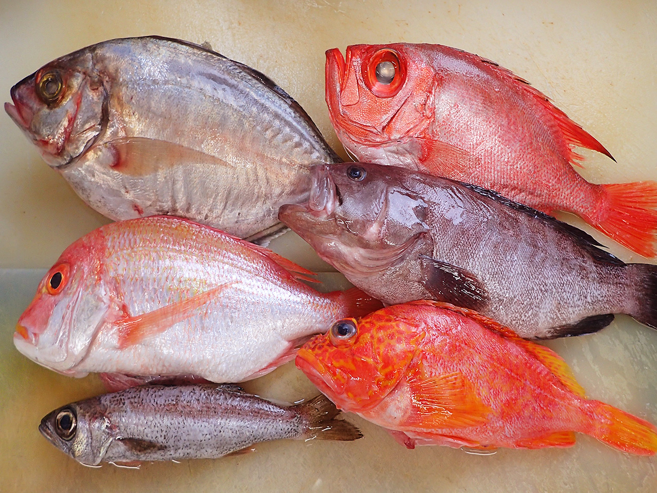 長崎県対馬から天然地魚到着！