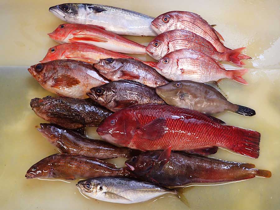 岩手県大船渡港からの天然地魚到着！