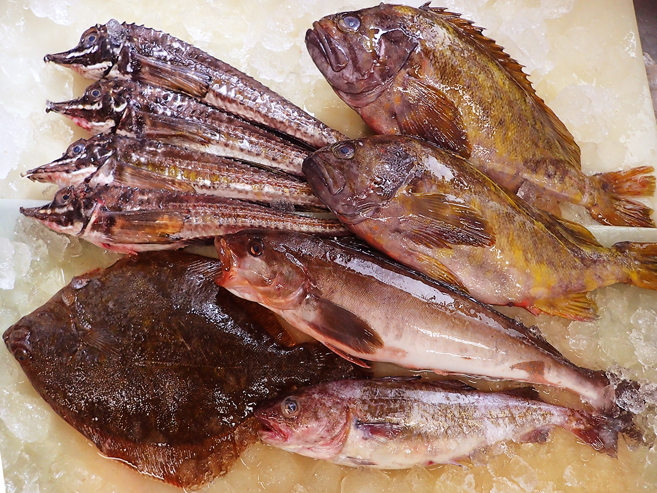 北海道羅臼町からの天然地魚到着！
