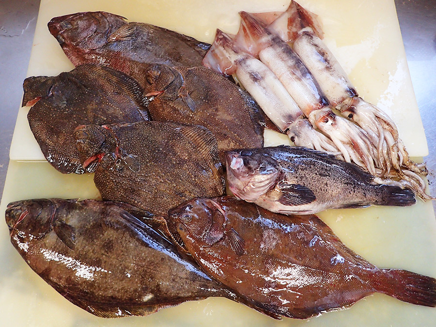 北海道羅臼町からの天然地魚到着！