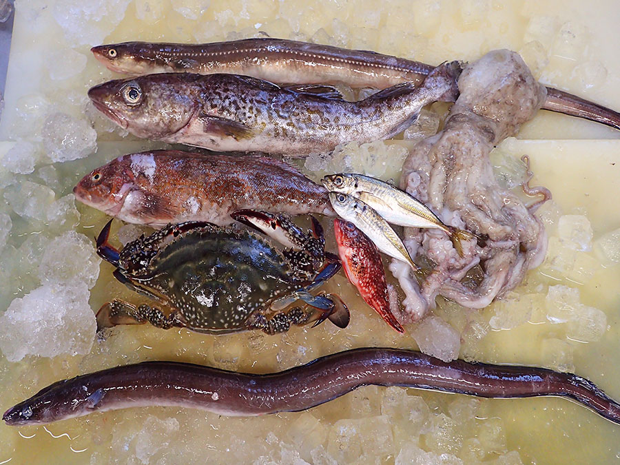 岩手県大船渡港からの天然地魚到着！