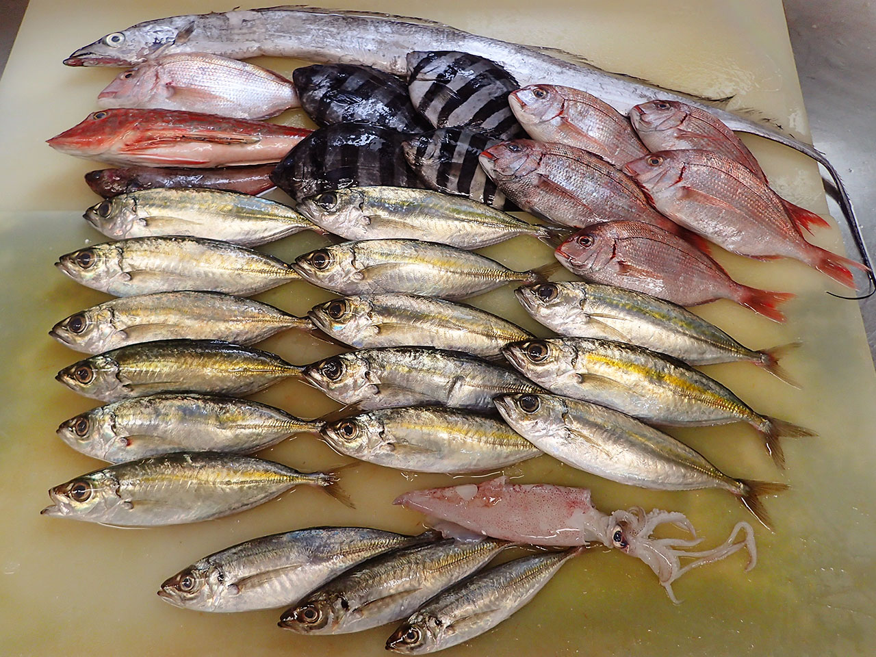 岩手県大船渡港からの天然地魚到着！