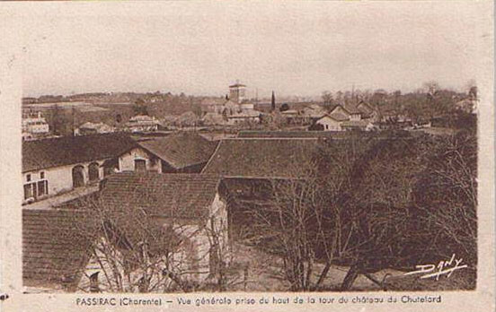 vue générale prise de la tour du château
