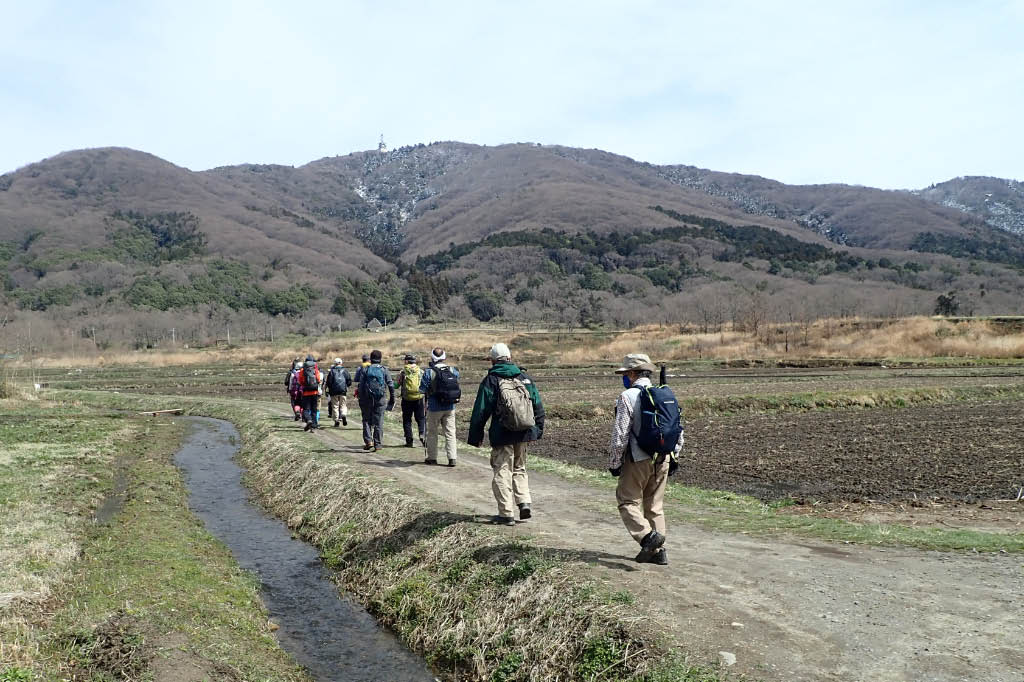 小川のせせらぎを友に長閑な早春の道を行く