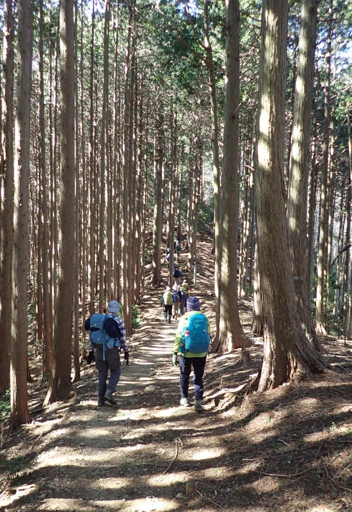 大平山から顔振峠へと向かう