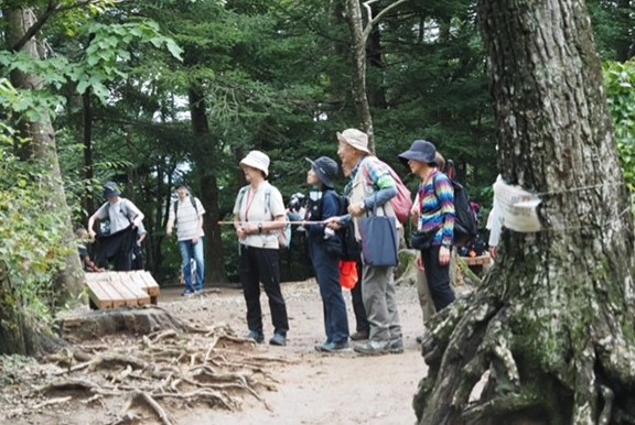 5号路3号路出合