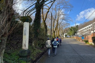 聖パウロ学園内の森林へ