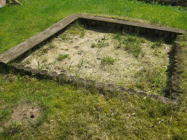 Verwachsungen im Sandbereich von Sandkisten