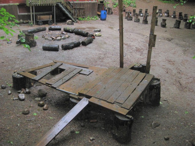 Fachinformation: Waldkindergarten