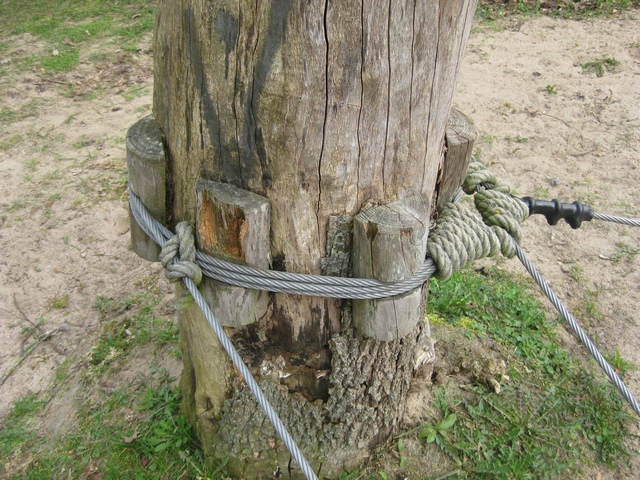 Baumschutz für Niedrigseilgärten