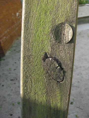 Scharfes Holz