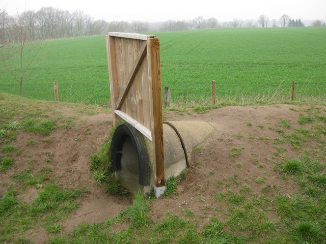 Tunnelröhre 2