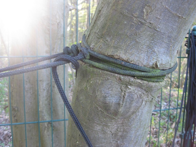 Befestigung von Slacklines