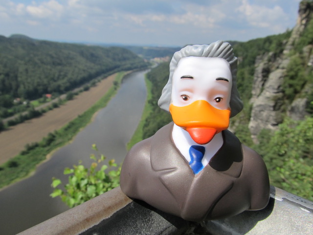 DUCKSTEIN – der intelligenteste Erpel der WELT! Ein frecher & unbequemer Bade-Erpel, mit erschreckend hohem IQ. Hier beim Wandern im Elbsandsteingebirge mit Blick auf die Elbe.