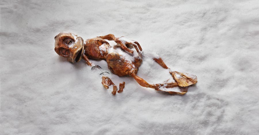 Dötzi