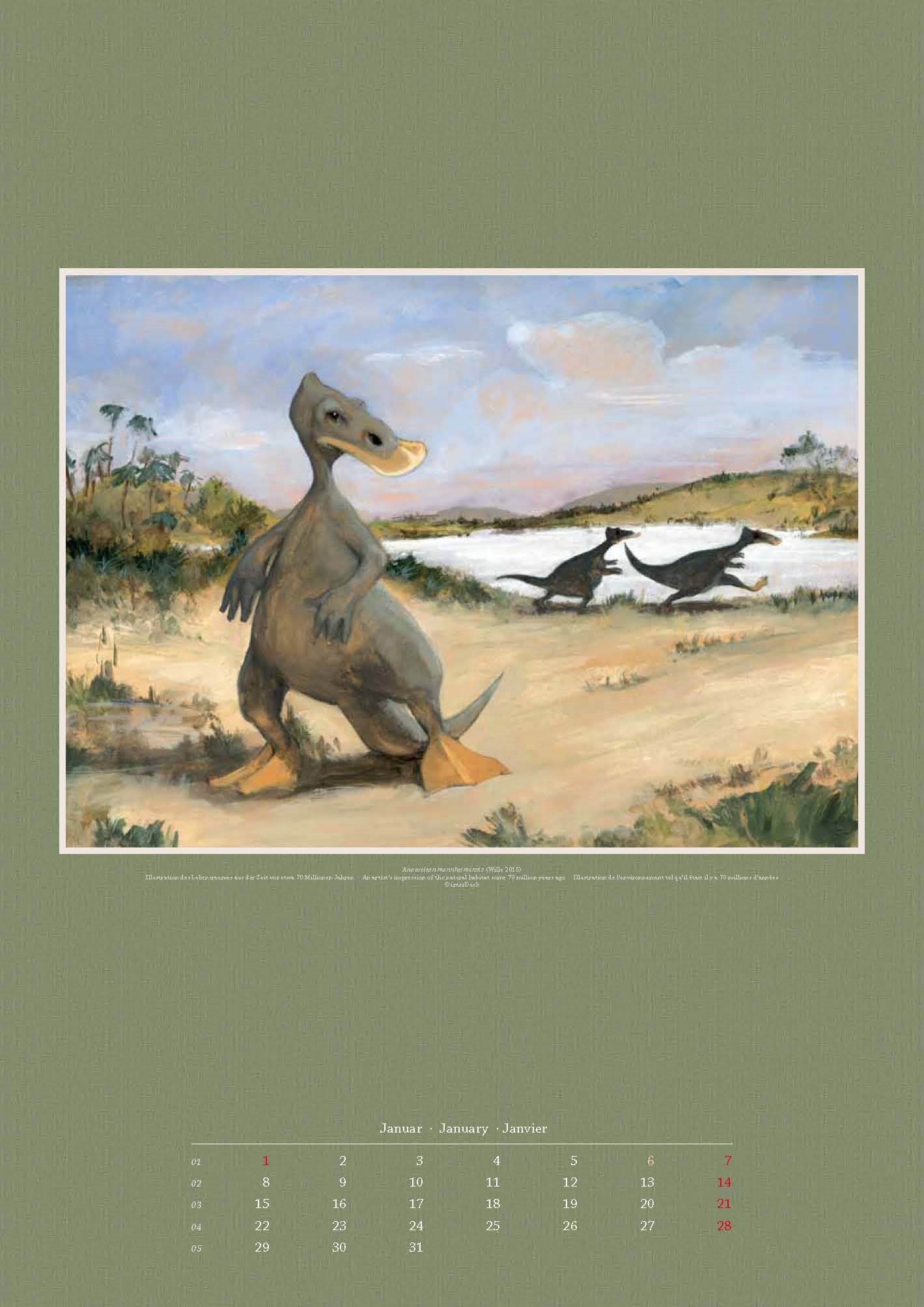 DUCKOMENTA - die Kalender - DUCKOMENTA - in ducks we trust!