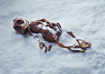 Dötzi