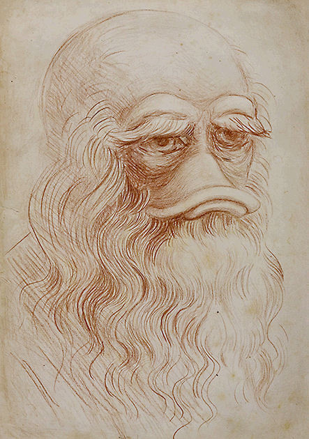 Postkarte "Leonardo da Vinci"