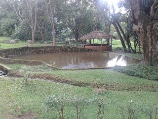 Botanischer Garten in Zomba 