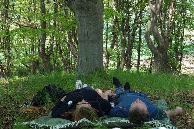 „Frühstück im Hutewald bei den Orchideen“ Mai 2019