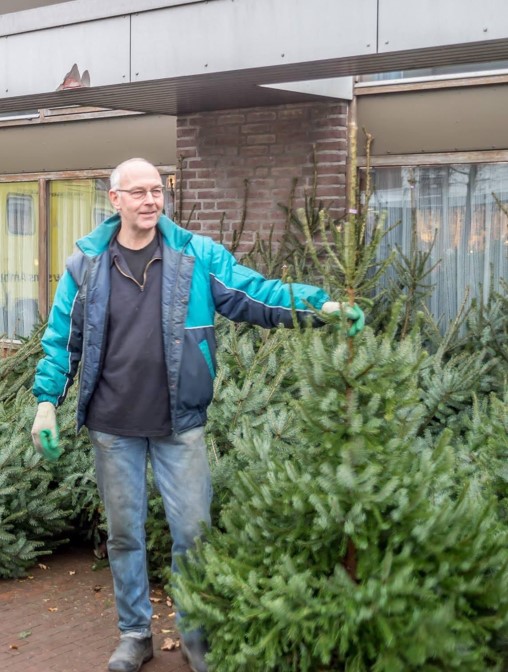 Koop een kerstboom en steun Amor Musae