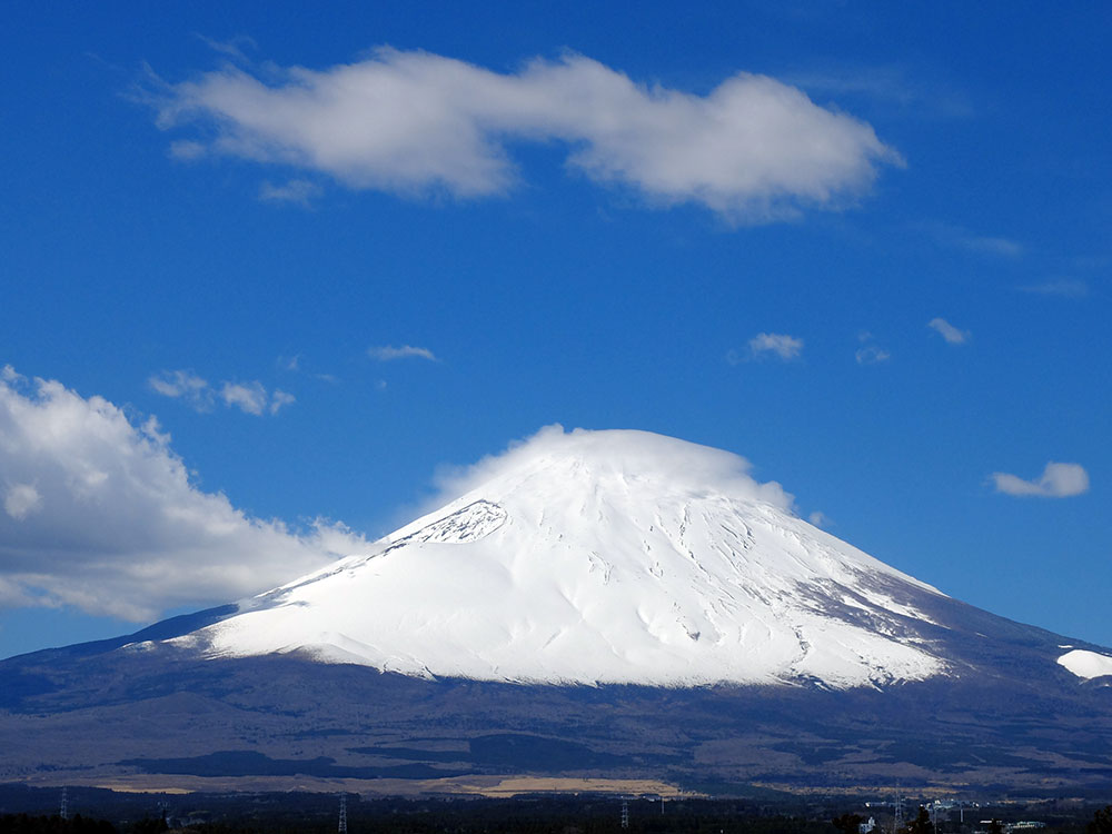 御殿場倶楽部から春の富士山をお届けします♪