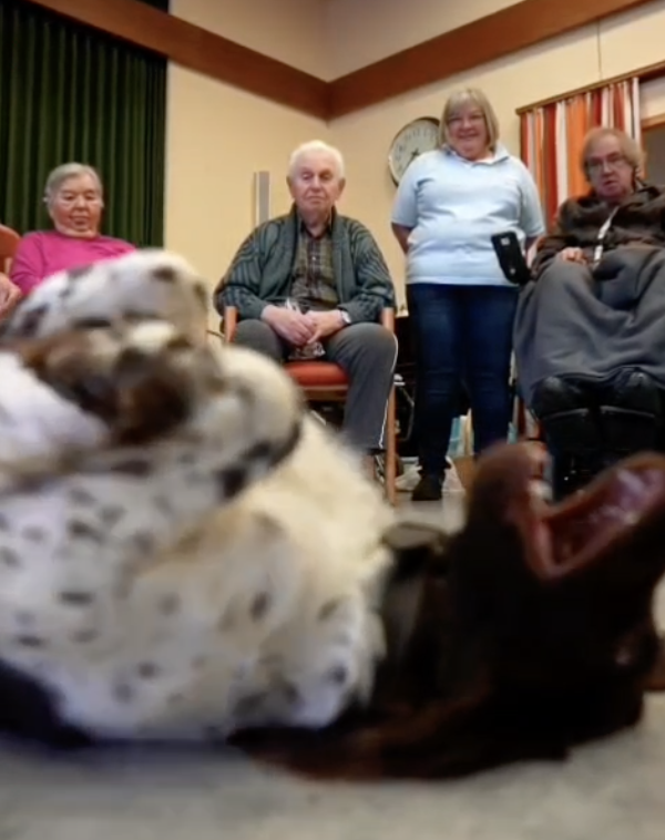 Vorweihnachtsgruss von der Hundeabteilung vom Jägerverein