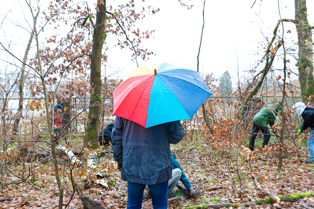 Darmstädter Lauf-Treff Ökologische Aufforstung Waldrand Neubaugebiet Ludwigshöhviertel am 7.12.2024 Darmstadt, Foto: Christa Daum