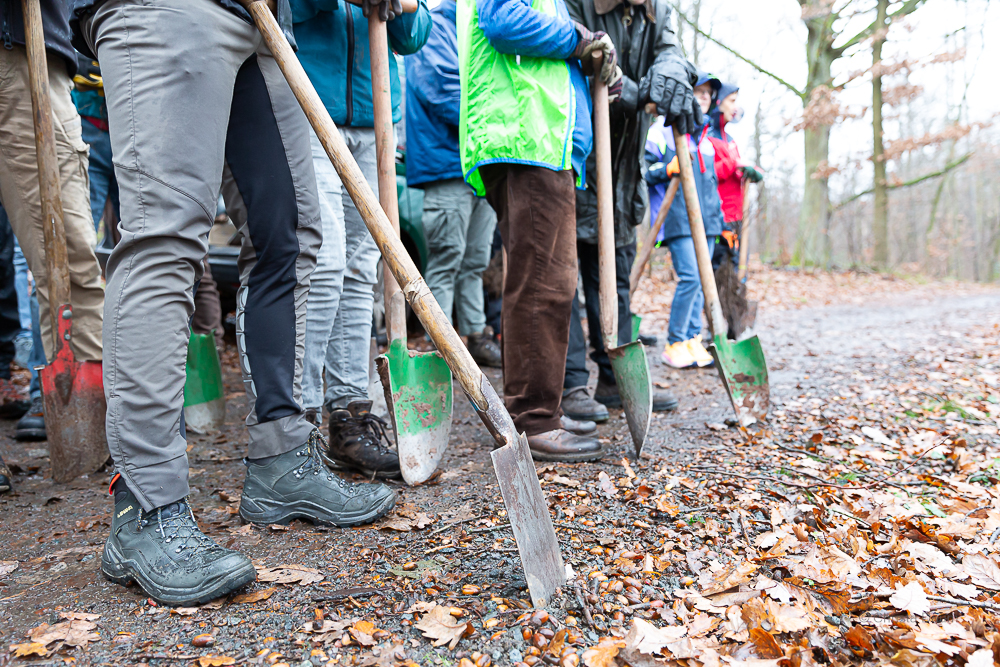 Darmstädter Lauf-Treff Ökologische Aufforstung Waldrand Neubaugebiet Ludwigshöhviertel am 7.12.2024 Darmstadt, Foto: Christa Daum