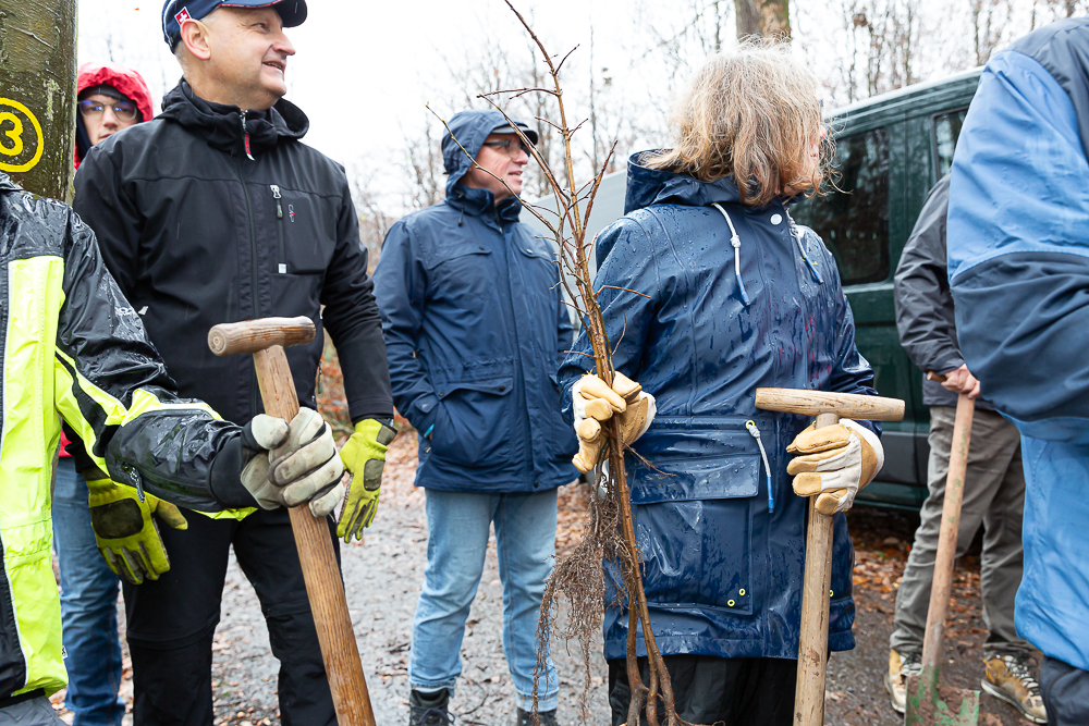 Darmstädter Lauf-Treff Ökologische Aufforstung Waldrand Neubaugebiet Ludwigshöhviertel am 7.12.2024 Darmstadt, Foto: Christa Daum