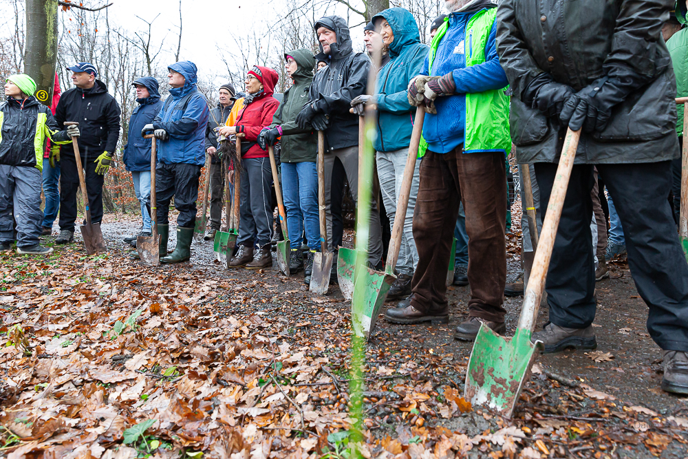 Darmstädter Lauf-Treff Ökologische Aufforstung Waldrand Neubaugebiet Ludwigshöhviertel am 7.12.2024 Darmstadt, Foto: Christa Daum