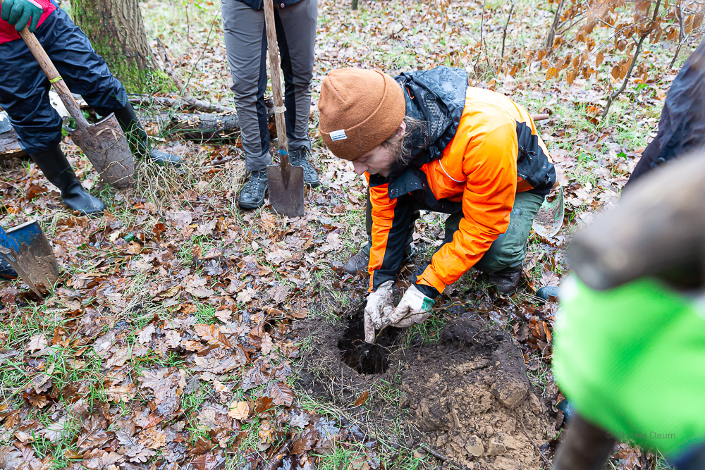 Darmstädter Lauf-Treff Ökologische Aufforstung Waldrand Neubaugebiet Ludwigshöhviertel am 7.12.2024 Darmstadt, Foto: Christa Daum