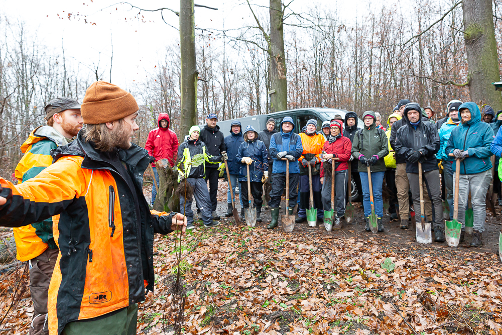 Darmstädter Lauf-Treff Ökologische Aufforstung Waldrand Neubaugebiet Ludwigshöhviertel am 7.12.2024 Darmstadt, Foto: Christa Daum