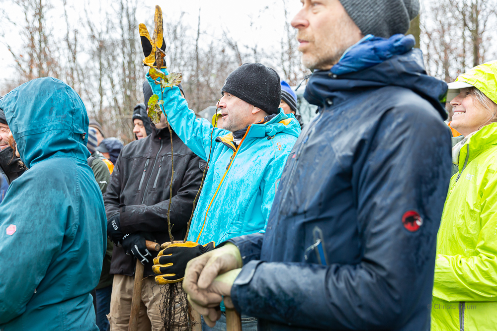 Darmstädter Lauf-Treff Ökologische Aufforstung Waldrand Neubaugebiet Ludwigshöhviertel am 7.12.2024 Darmstadt, Foto: Christa Daum