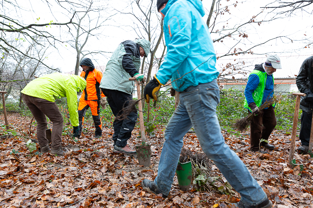 Darmstädter Lauf-Treff Ökologische Aufforstung Waldrand Neubaugebiet Ludwigshöhviertel am 7.12.2024 Darmstadt, Foto: Christa Daum