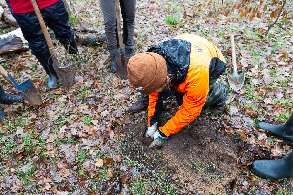 Darmstädter Lauf-Treff Ökologische Aufforstung Waldrand Neubaugebiet Ludwigshöhviertel am 7.12.2024 Darmstadt, Foto: Christa Daum