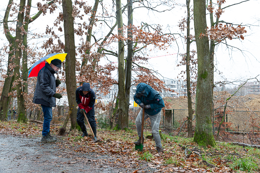 Darmstädter Lauf-Treff Ökologische Aufforstung Waldrand Neubaugebiet Ludwigshöhviertel am 7.12.2024 Darmstadt, Foto: Christa Daum