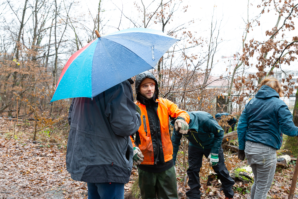 Darmstädter Lauf-Treff Ökologische Aufforstung Waldrand Neubaugebiet Ludwigshöhviertel am 7.12.2024 Darmstadt, Foto: Christa Daum