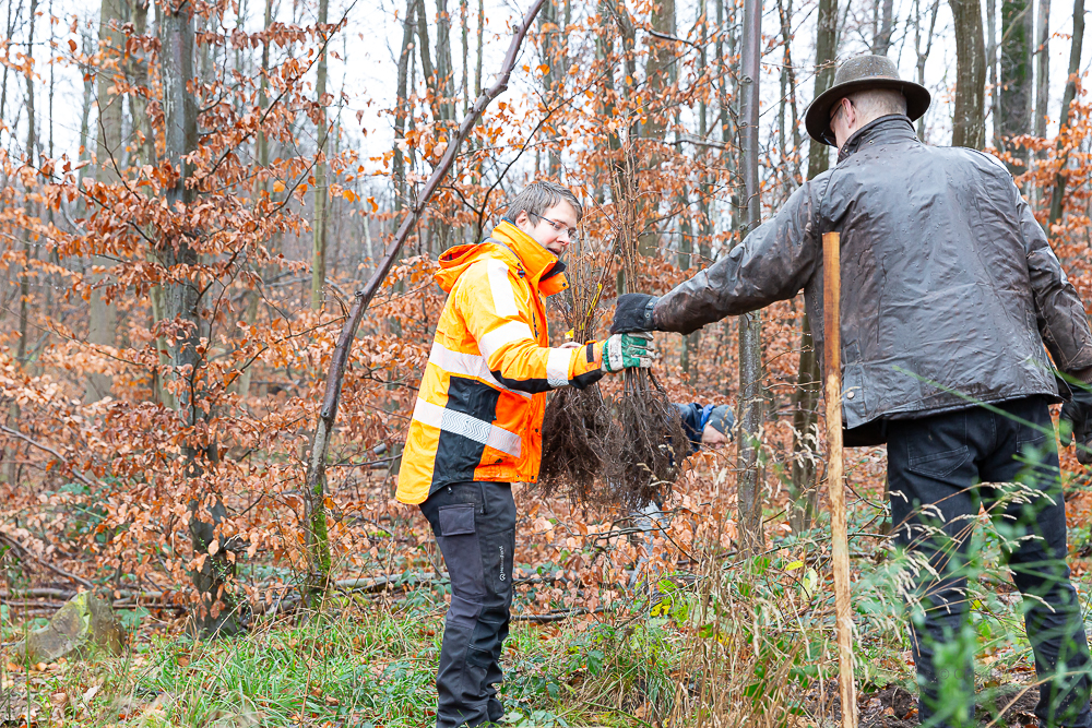 Darmstädter Lauf-Treff Ökologische Aufforstung Waldrand Neubaugebiet Ludwigshöhviertel am 7.12.2024 Darmstadt, Foto: Christa Daum
