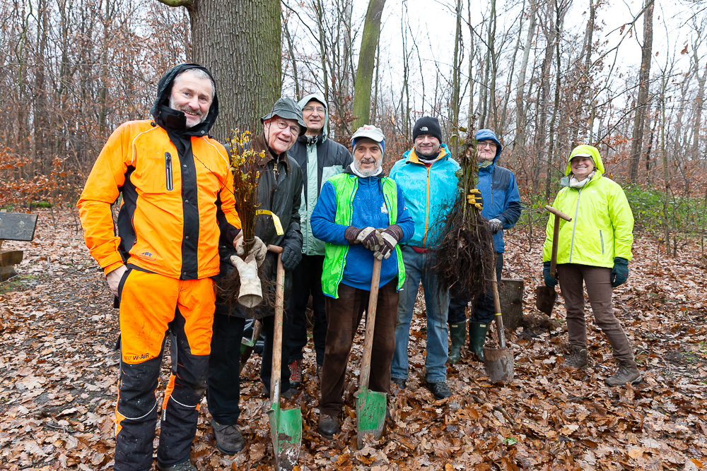Darmstädter Lauf-Treff Ökologische Aufforstung Waldrand Neubaugebiet Ludwigshöhviertel am 7.12.2024 Darmstadt, Foto: Christa Daum