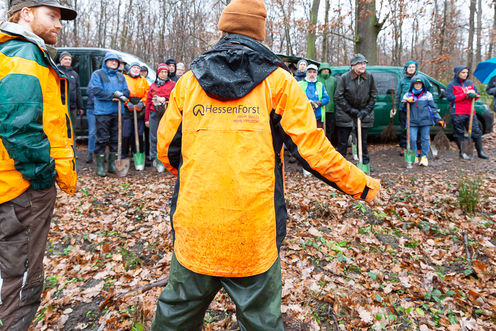 Darmstädter Lauf-Treff Ökologische Aufforstung Waldrand Neubaugebiet Ludwigshöhviertel am 7.12.2024 Darmstadt, Foto: Christa Daum