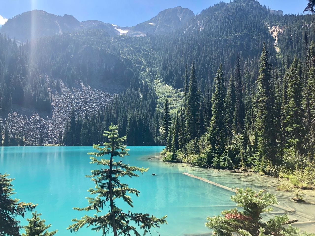 Guía de compra Naturshome - Naturshome.com